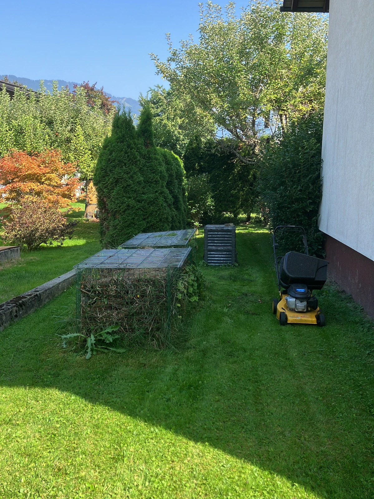 Ein Garten mit einem frisch gemähte Rasen.