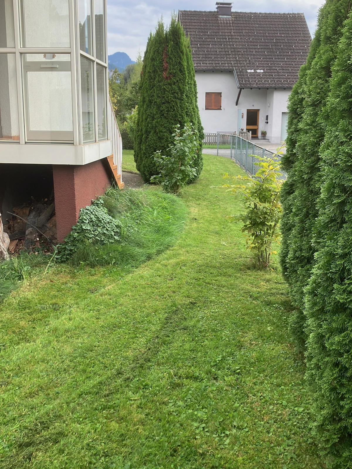 Ein Garten mit einem frisch gemähte Rasen.